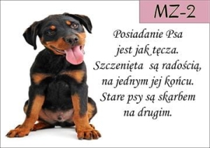 MZ-2.jpg