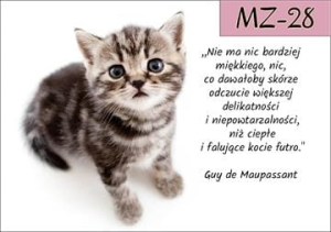 MZ-28.jpg