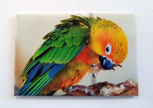 foto-magnesy metalowe.jpg