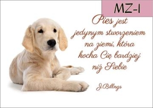 MZ-1.jpg