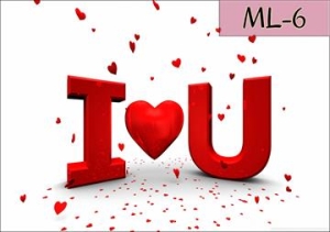ML-6.jpg