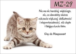 MZ-29.jpg