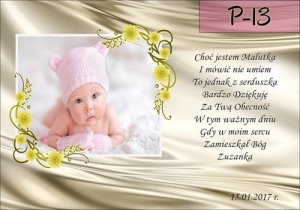 P-13.jpg