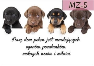 MZ-5.jpg