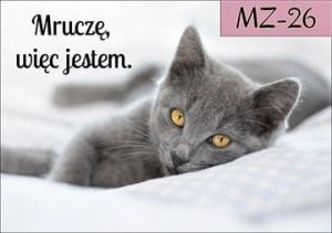 MZ-26.jpg
