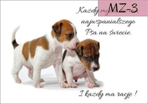 MZ-3.jpg