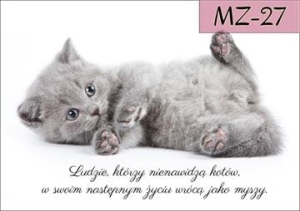 MZ-27.jpg
